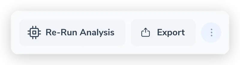 Project header actions showing the Re-Run Analysis button, the Export button, and the more-actions menu